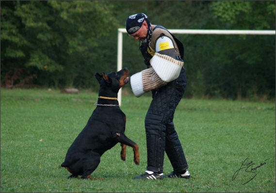 Summer training camp - Jelenec - 2007